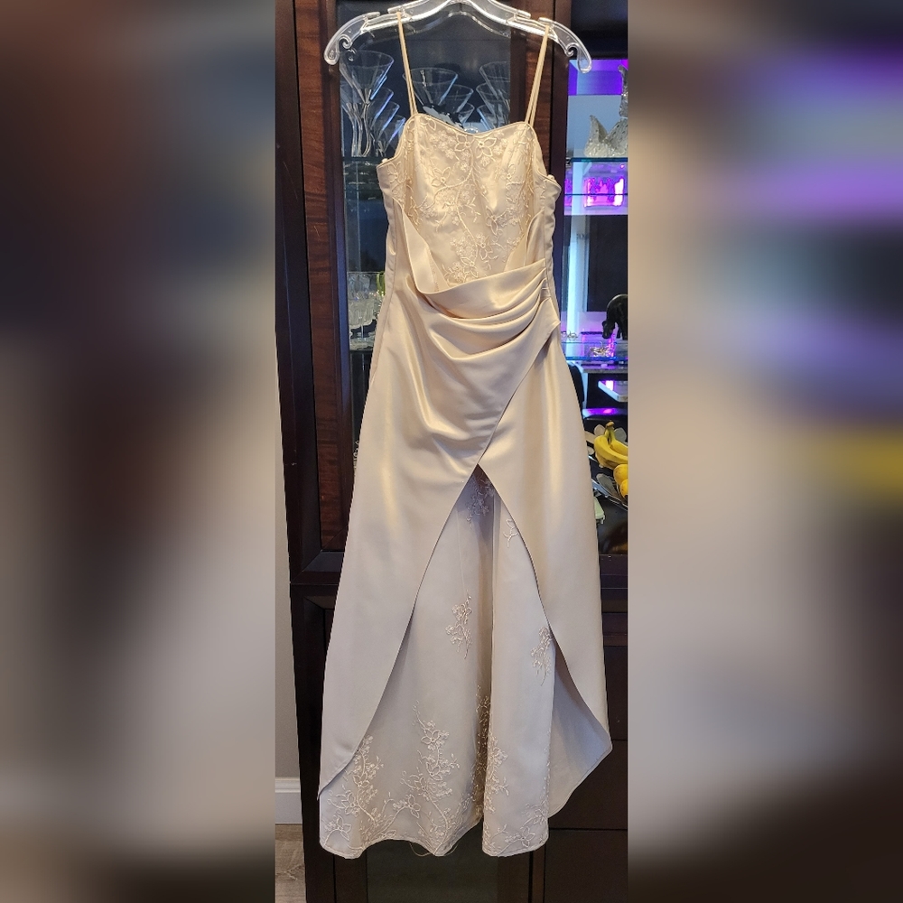 Evening Dress